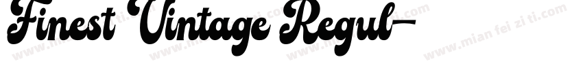 Finest Vintage Regul字体转换